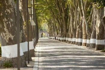Termas Da Curia Spa Resort 외부 사진